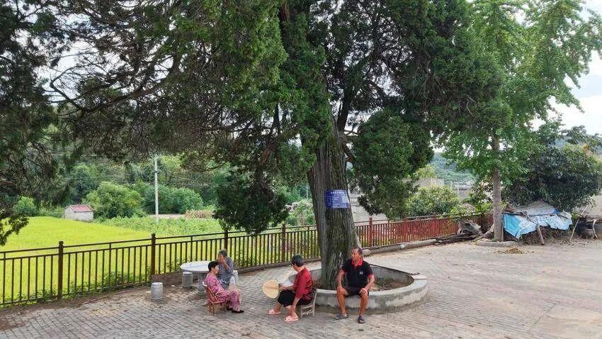 独臂踏征途忠魂耀澴川（报纸稿）.docx