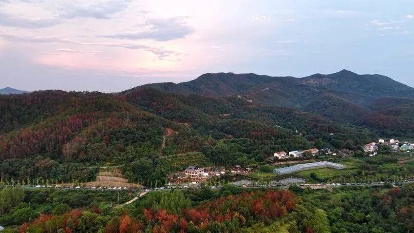 独臂踏征途忠魂耀澴川（报纸稿）.docx